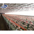 China Farm house Poultry shed  horse cow shed shed Chicken House steel Structure Building